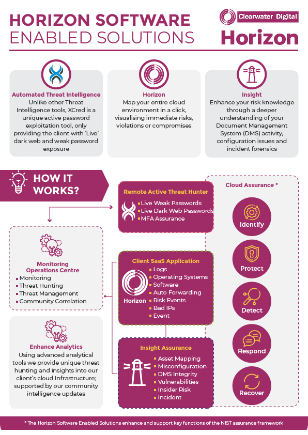 Horizon Software Enabled Solutions